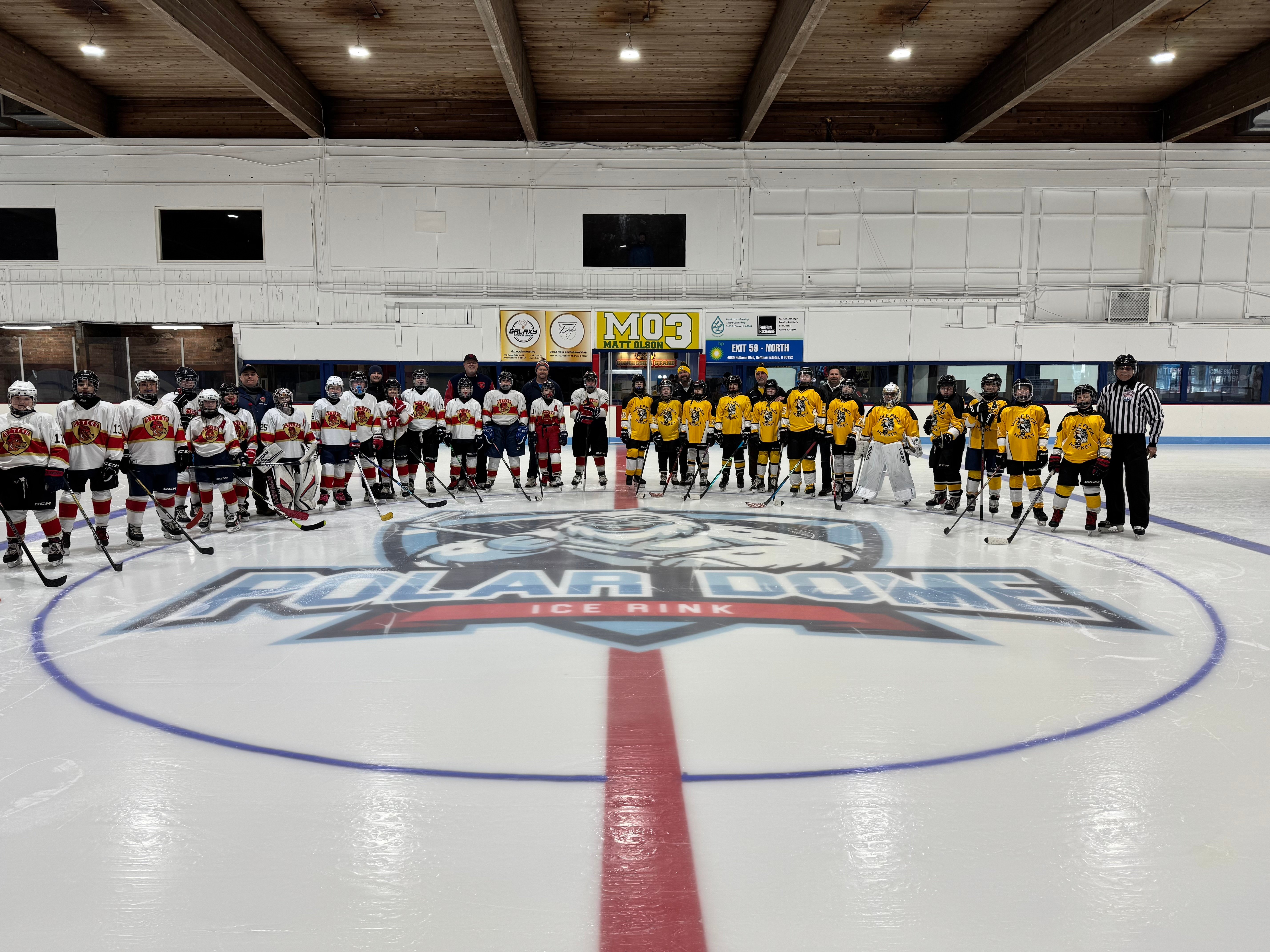 Hockey Shot